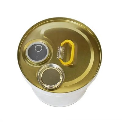 19L 5 Gallon Stalowy Ciągły Wiadro Głowy Z Flex Spout pokrywa dla rozrzedzania